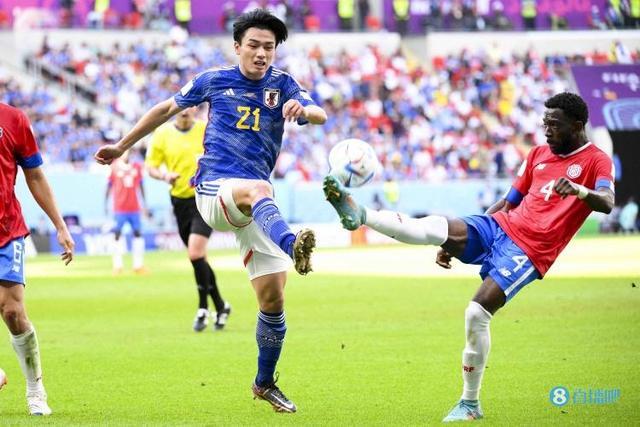 擅长利用对 擅长利用对