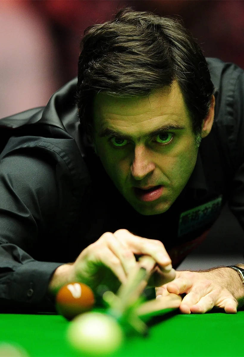 也是品牌布 也是品牌布